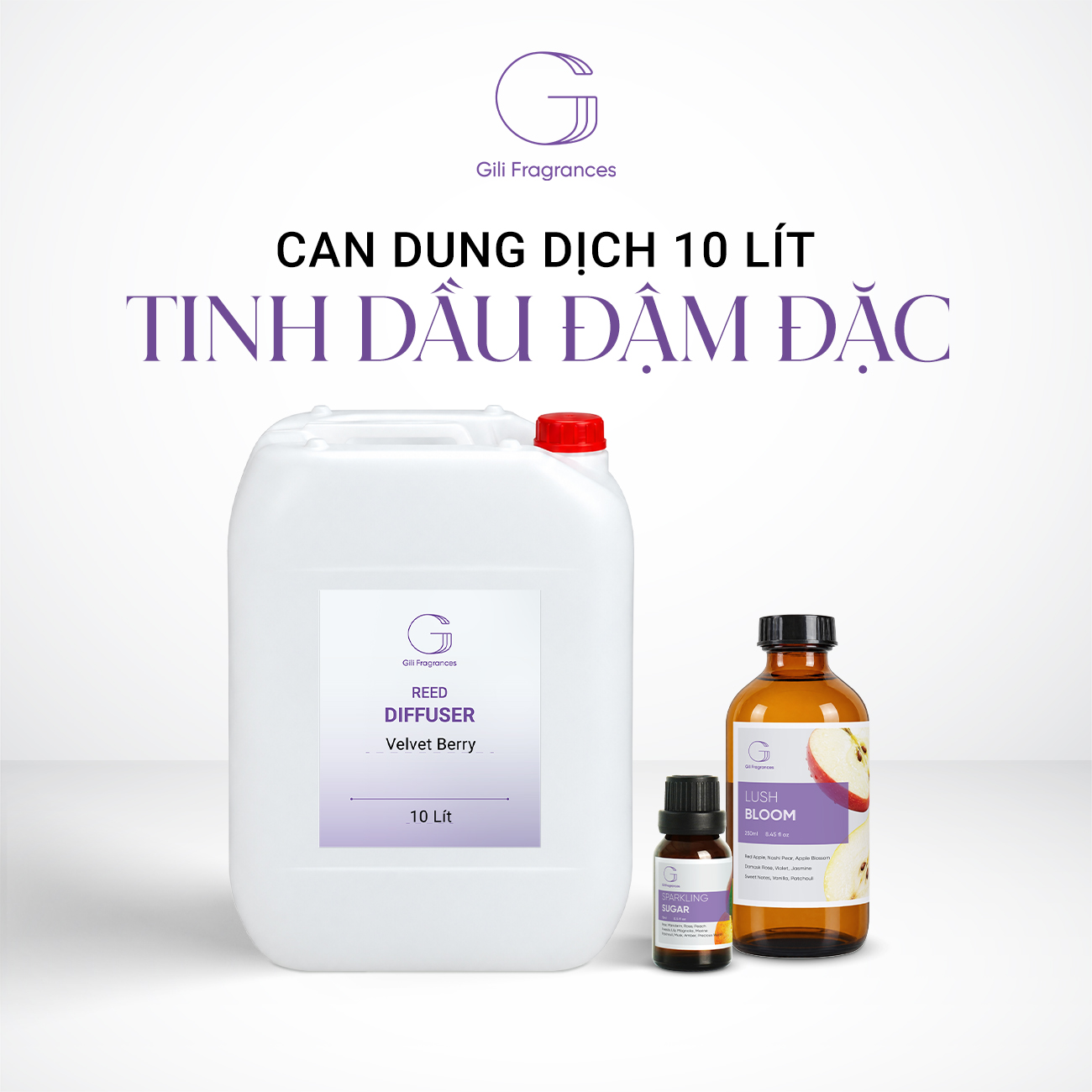 CAN TINH DẦU ĐẬM ĐẶC 10L GILI | TÙY CHỌN HƯƠNG | MUA SỈ