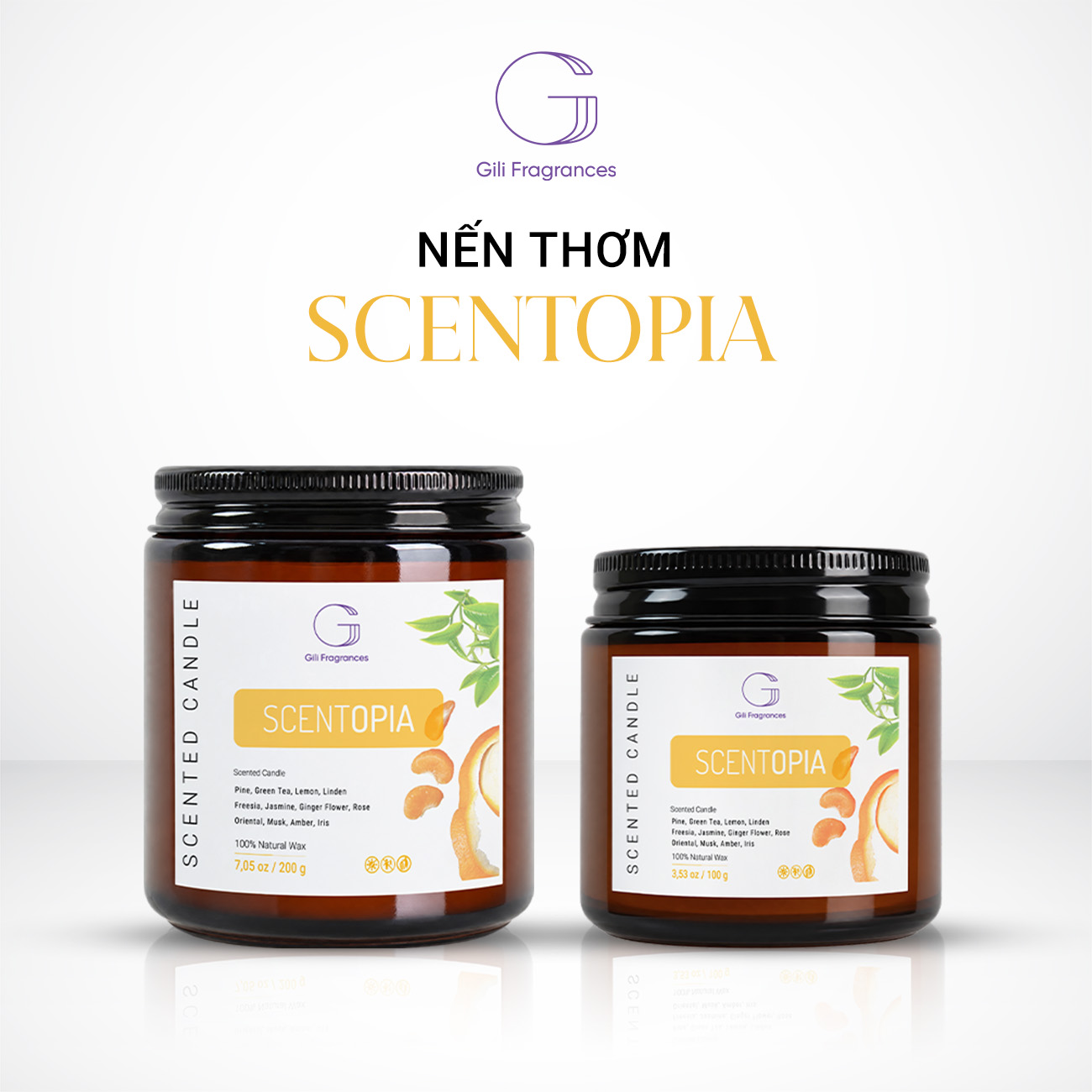 Nến thơm SCENTOPIA | 100G – 200G