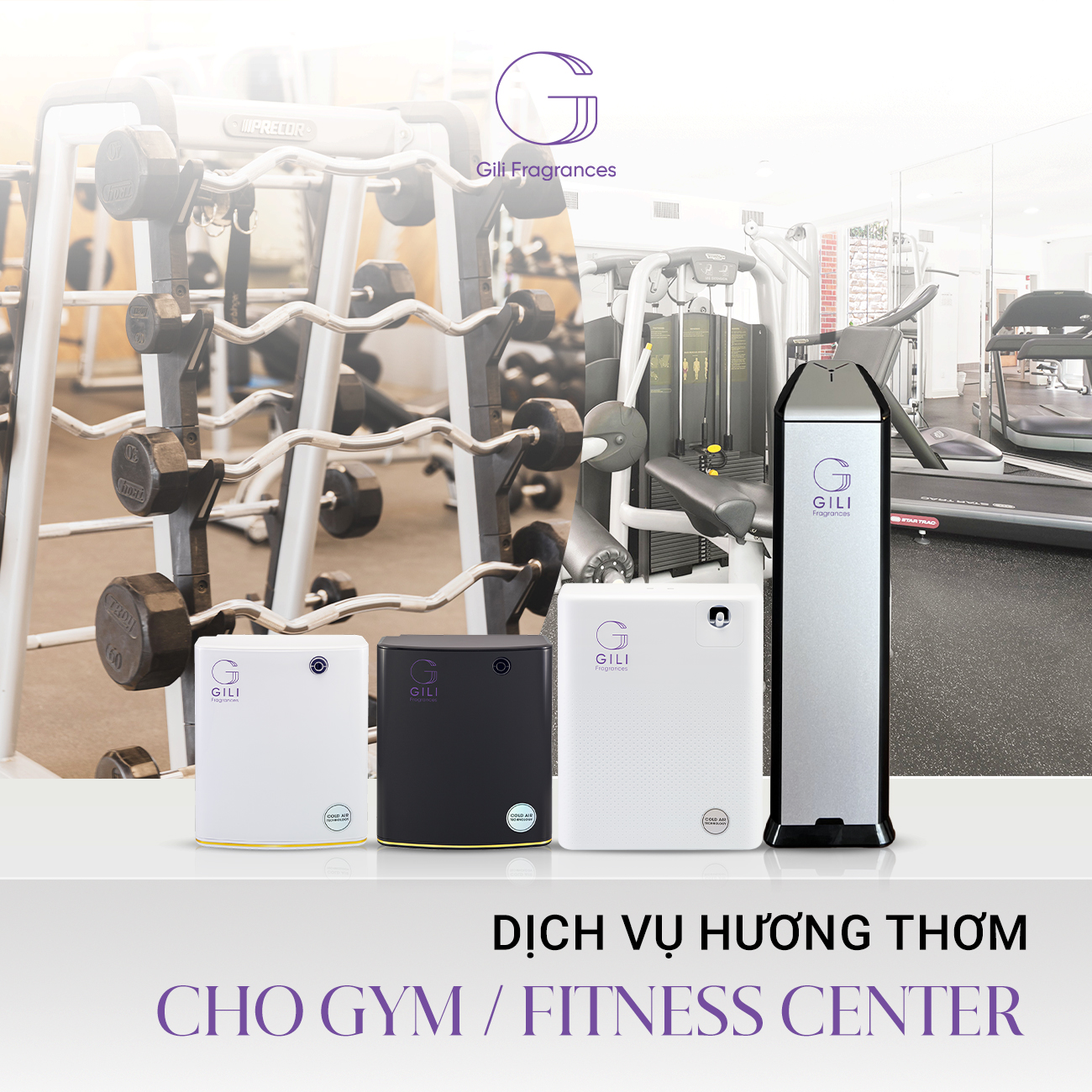 Dịch vụ hương thơm cho phòng GYM / FITNESS CENTER